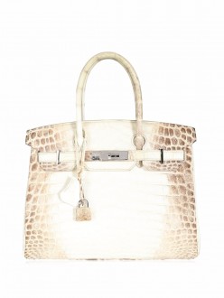 Hermès Himalaya Birkin 30 bag
